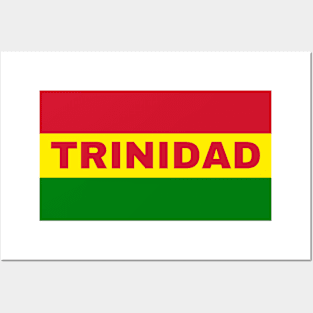 Trinidad City in Bolivian Flag Colors Posters and Art